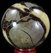Polished Septarian Sphere - Madagascar #67844-1